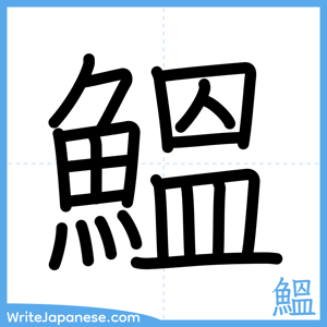 How to write "鰮" - complete stroke order