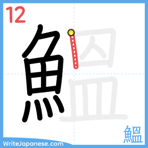 How to write "鰮" - stroke 12