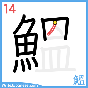 How to write "鰮" - stroke 14