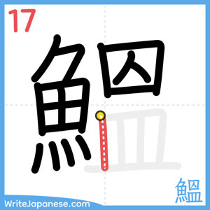 How to write "鰮" - stroke 17