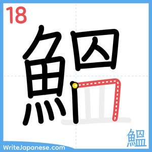 How to write "鰮" - stroke 18