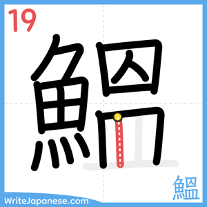 How to write "鰮" - stroke 19