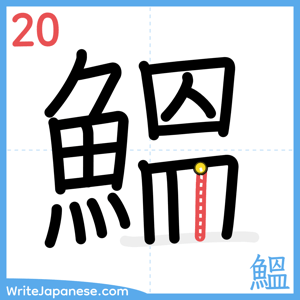 How to write "鰮" - stroke 20