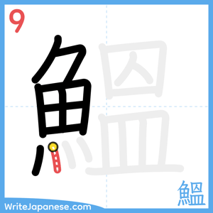 How to write "鰮" - stroke 9
