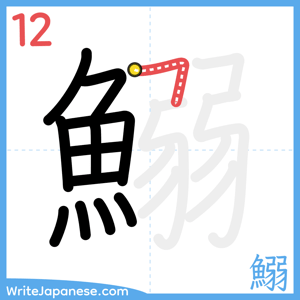 How to write "鰯" - stroke 12