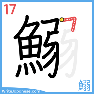 How to write "鰯" - stroke 17