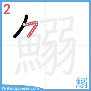 How to write "鰯" - stroke 2