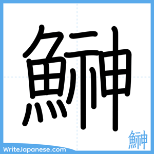 How to write "鰰" - complete stroke order