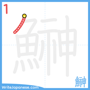 How to write "鰰" - stroke 1