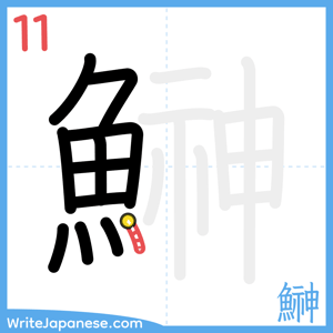 How to write "鰰" - stroke 11