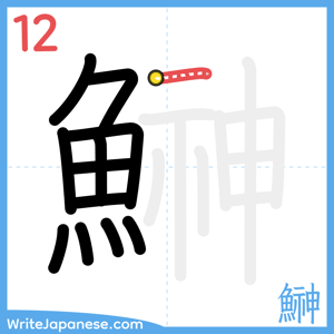 How to write "鰰" - stroke 12