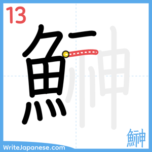 How to write "鰰" - stroke 13