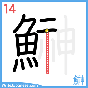 How to write "鰰" - stroke 14