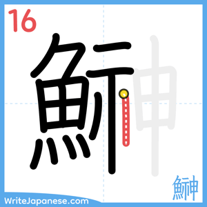 How to write "鰰" - stroke 16