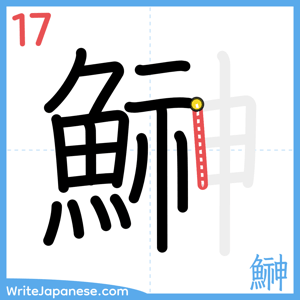 How to write "鰰" - stroke 17