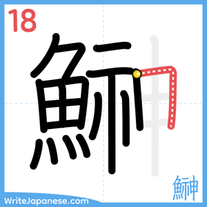How to write "鰰" - stroke 18