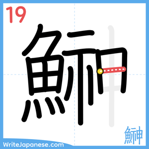 How to write "鰰" - stroke 19