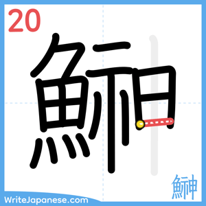 How to write "鰰" - stroke 20