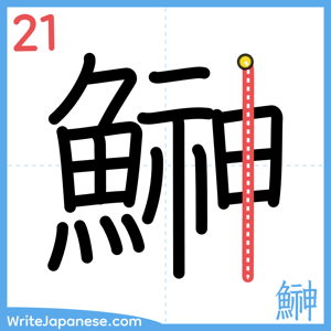 How to write "鰰" - stroke 21