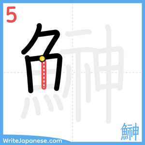 How to write "鰰" - stroke 5