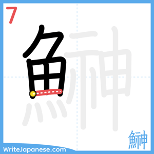 How to write "鰰" - stroke 7