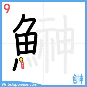 How to write "鰰" - stroke 9