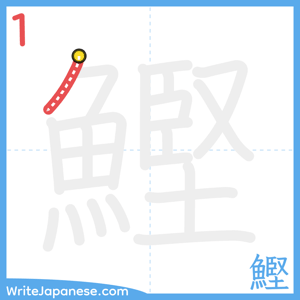 How to write "鰹" - stroke 1