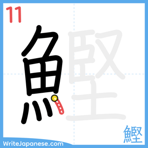How to write "鰹" - stroke 11