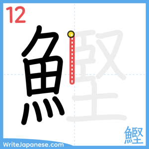 How to write "鰹" - stroke 12