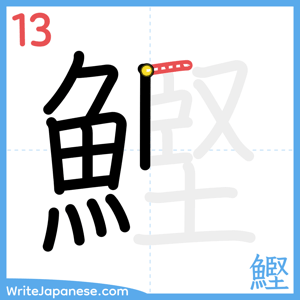 How to write "鰹" - stroke 13