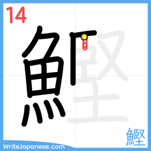 How to write "鰹" - stroke 14
