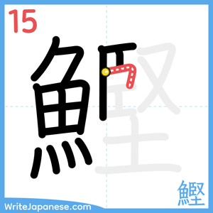 How to write "鰹" - stroke 15