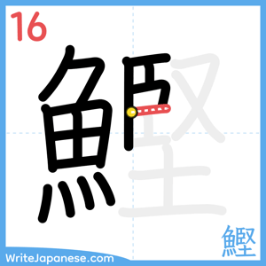 How to write "鰹" - stroke 16