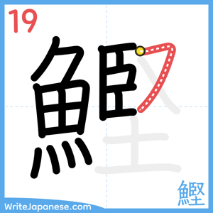 How to write "鰹" - stroke 19