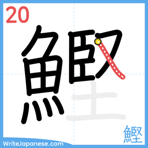 How to write "鰹" - stroke 20