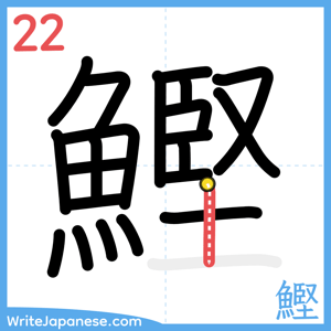 How to write "鰹" - stroke 22