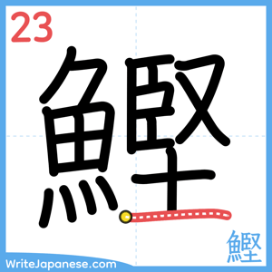 How to write "鰹" - stroke 23