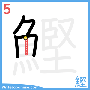 How to write "鰹" - stroke 5