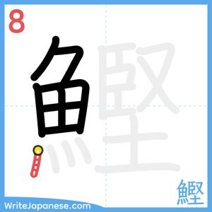 How to write "鰹" - stroke 8