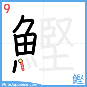 How to write "鰹" - stroke 9