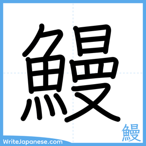 How to write "鰻" - complete stroke order