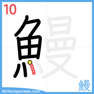 How to write "鰻" - stroke 10