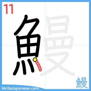 How to write "鰻" - stroke 11