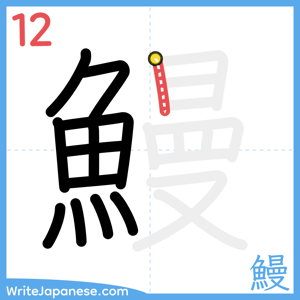 How to write "鰻" - stroke 12