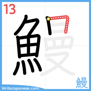 How to write "鰻" - stroke 13
