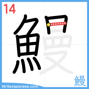 How to write "鰻" - stroke 14