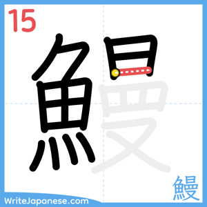 How to write "鰻" - stroke 15