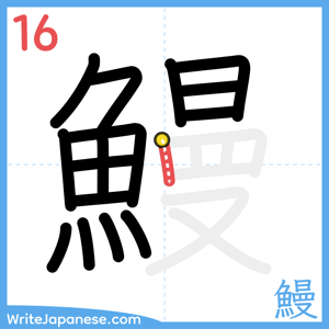 How to write "鰻" - stroke 16