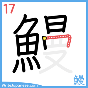 How to write "鰻" - stroke 17