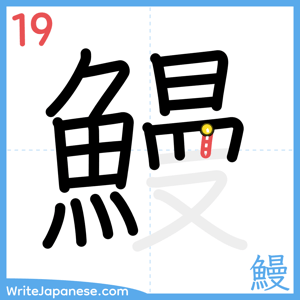 How to write "鰻" - stroke 19